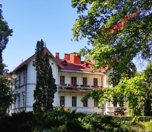 Ботанічний сад ЧНУ: від культури 1800-х до сучасних наукових просторів