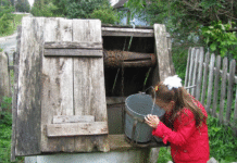 Вода в чернівецьких криницях: як війна та техногенні чинники впливають на ґрунтові води